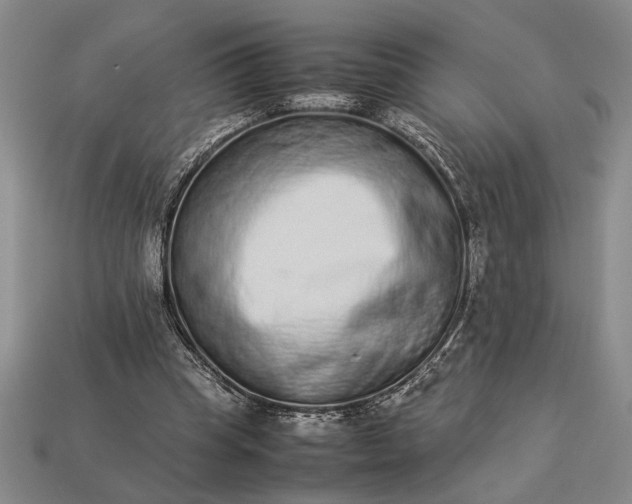 X0000113260345200909241527