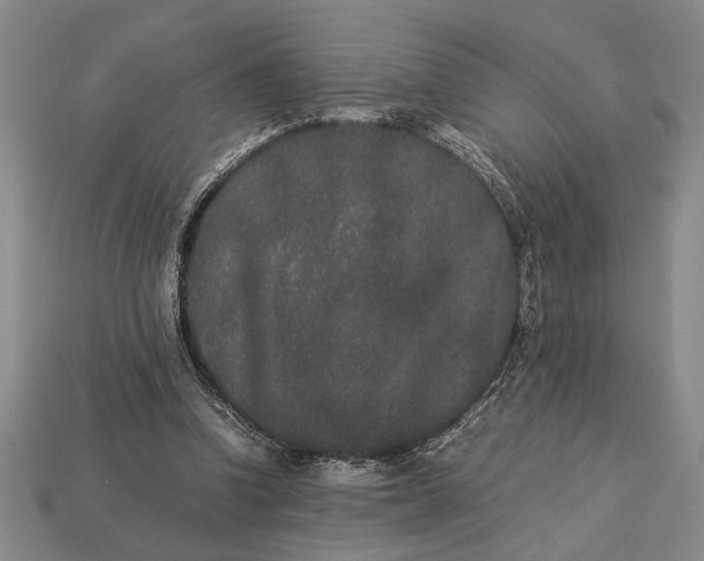 X0000113260346200909241527