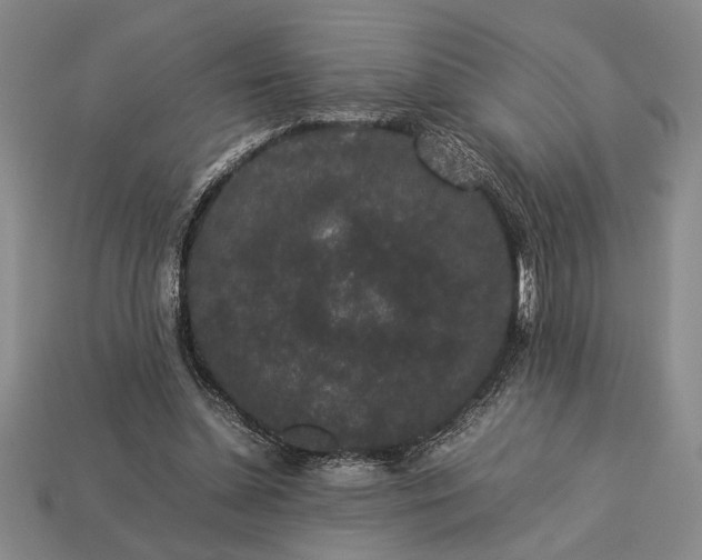 X0000113260348200909241527