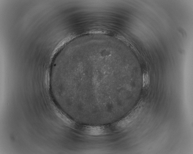 X0000113260349200909241527