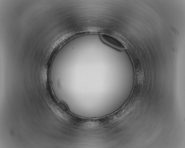 X0000113260350200909241527