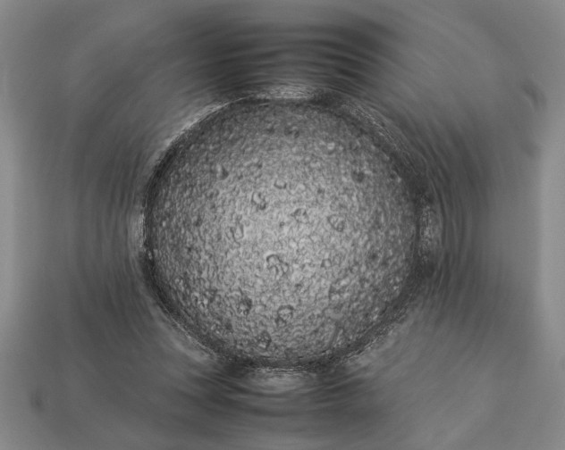 X0000113260351200909241527