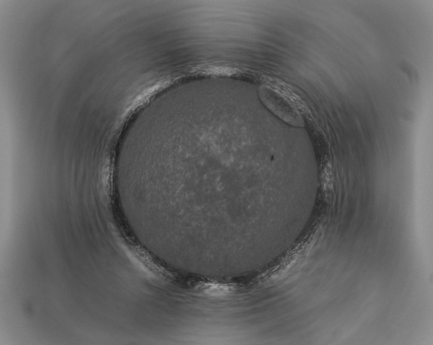 X0000113260352200909241527