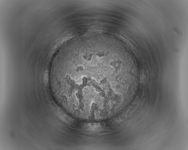 X0000113260353200909241527