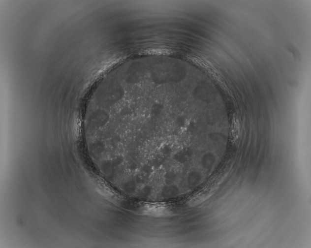 X0000113260355200909241527