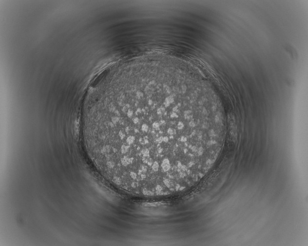 X0000113260357200909241527