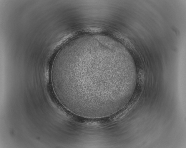 X0000113260358200909241527