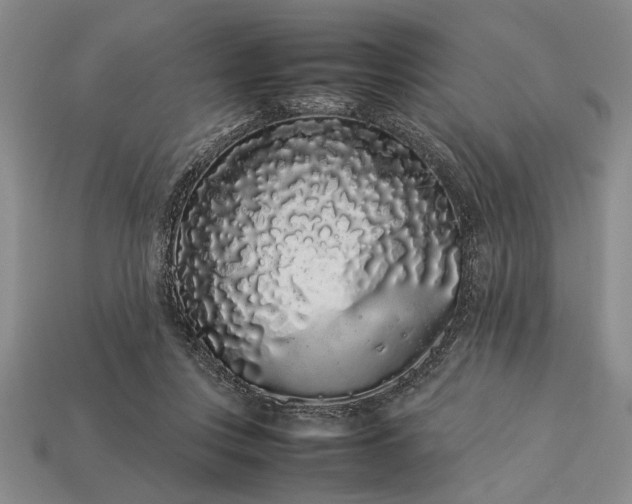 X0000113260359200909241527