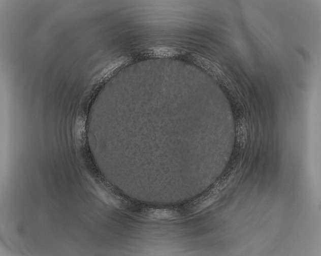 X0000113260360200909241527