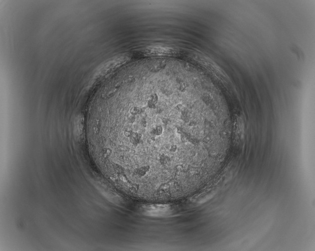 X0000113260361200909241527