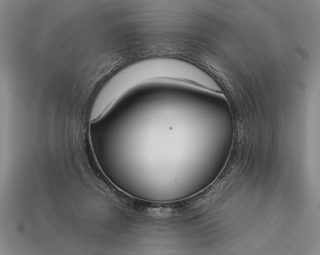 X0000113260362200909241527