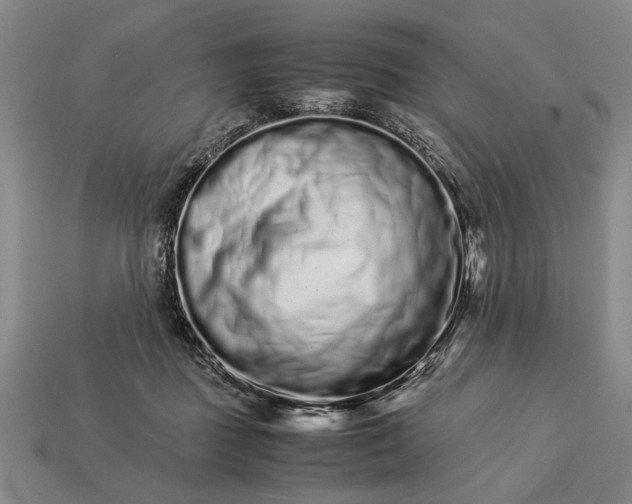 X0000113260363200909241527