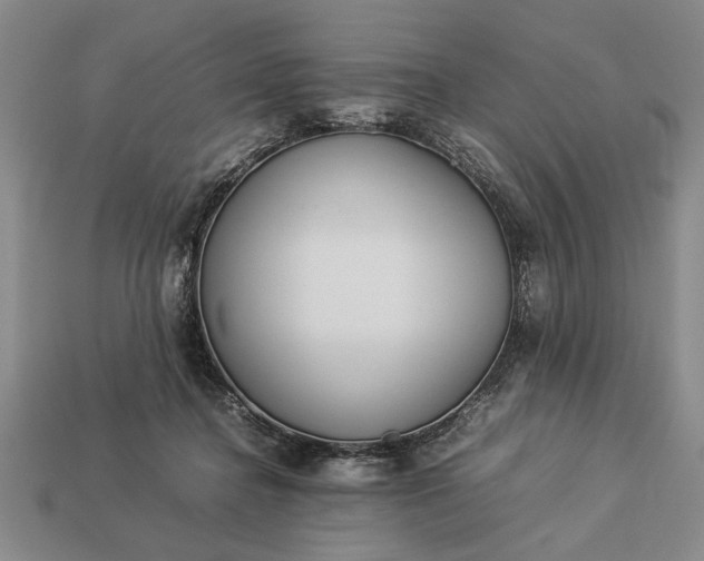 X0000113260364200909241527