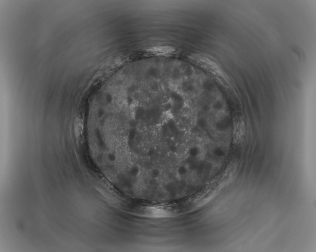 X0000113260365200909241527