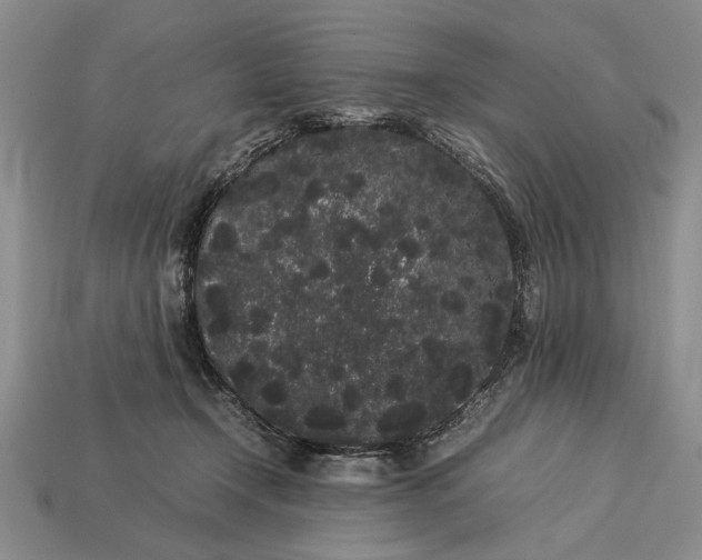 X0000113260366200909241527