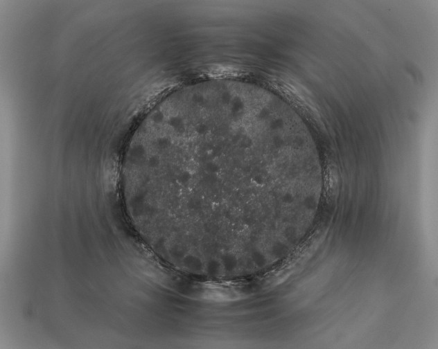 X0000113260367200909241527