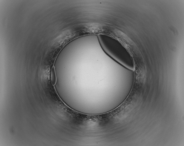 X0000113260368200909241527