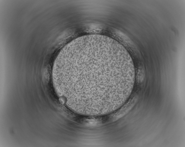 X0000113260370200909241527