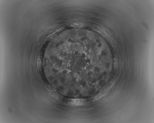 X0000113260371200909241527