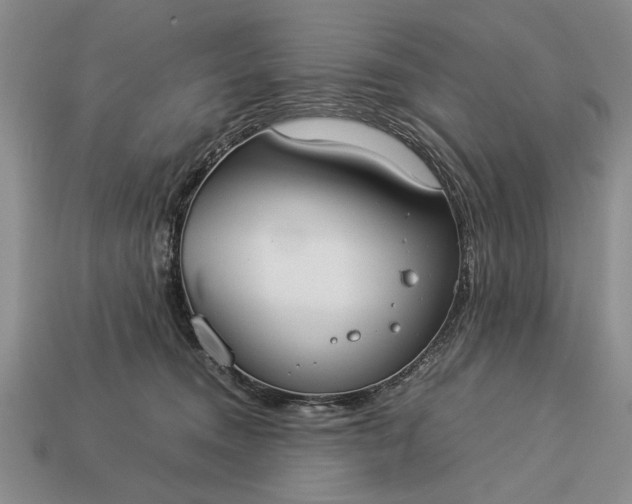 X0000113260372200909241527