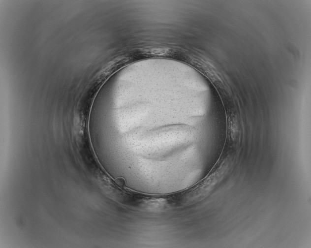 X0000113260374200909241527