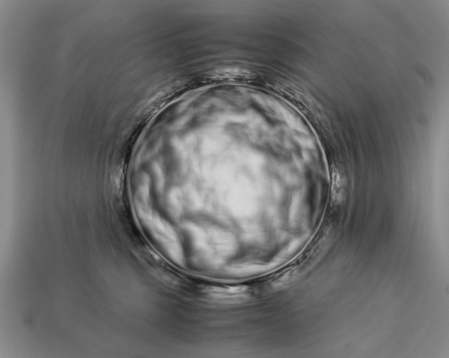 X0000113260375200909241527