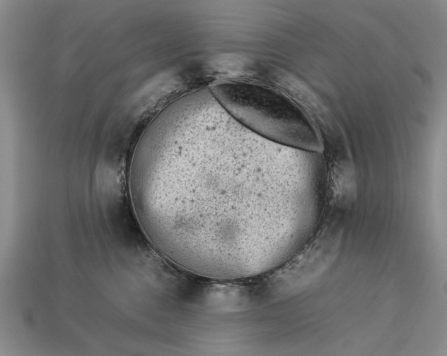 X0000113260376200909241527