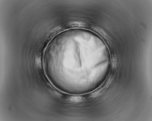 X0000113260377200909241527