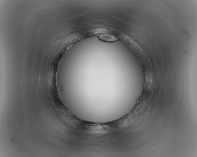 X0000113260379200909241527