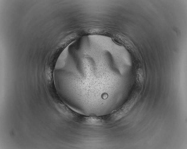 X0000113260380200909241527