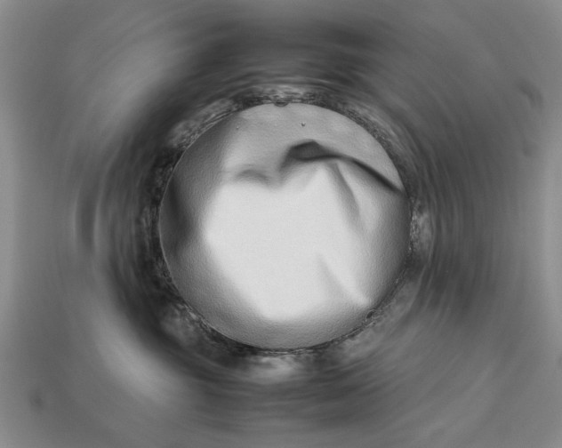 X0000113260381200909241527