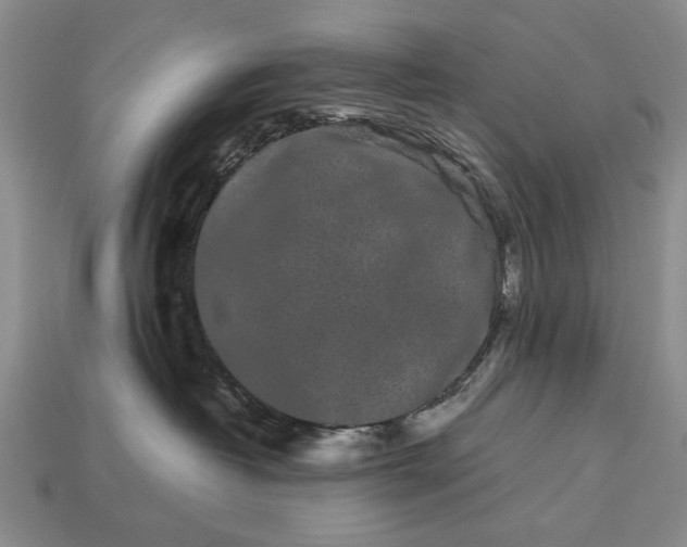 X0000113260382200909241527