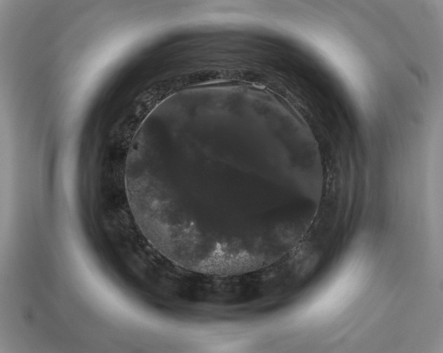 X0000113260383200909241527