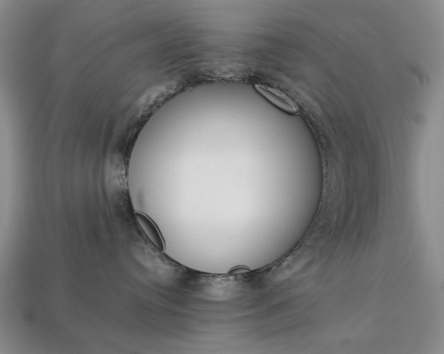 X0000113260384200909241527