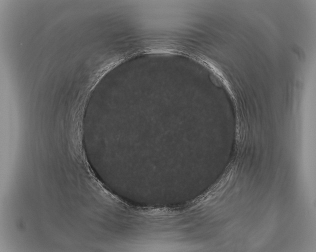 X0000113260385200909241527