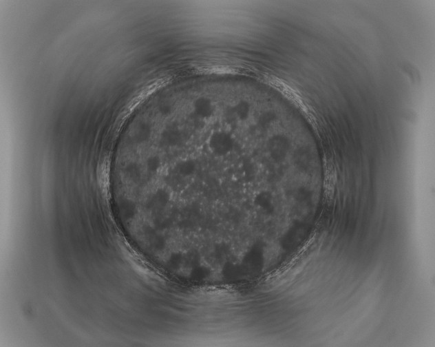 X0000113260386200909241527