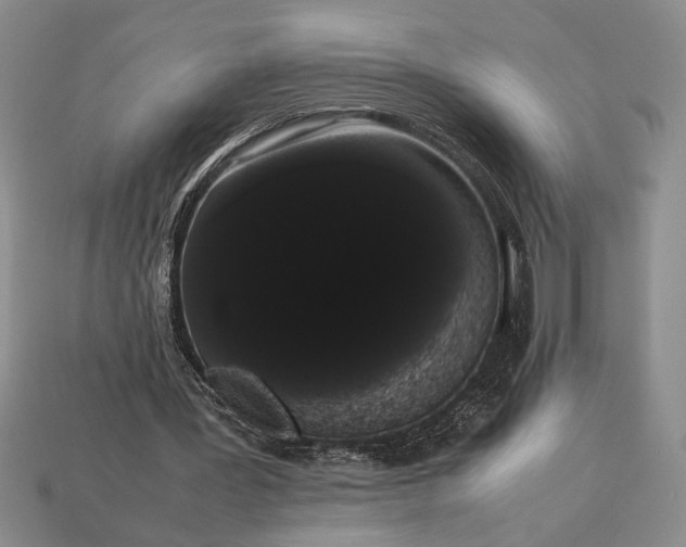 X0000113260387200909241527