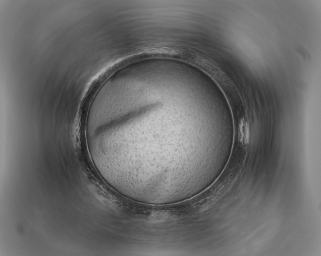 X0000113260388200909241527