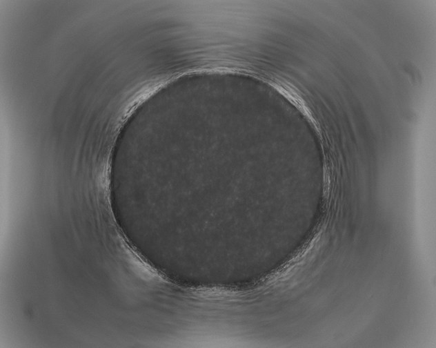 X0000113260389200909241527