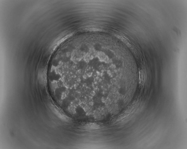 X0000113260390200909241527