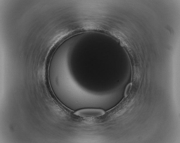 X0000113260391200909241527