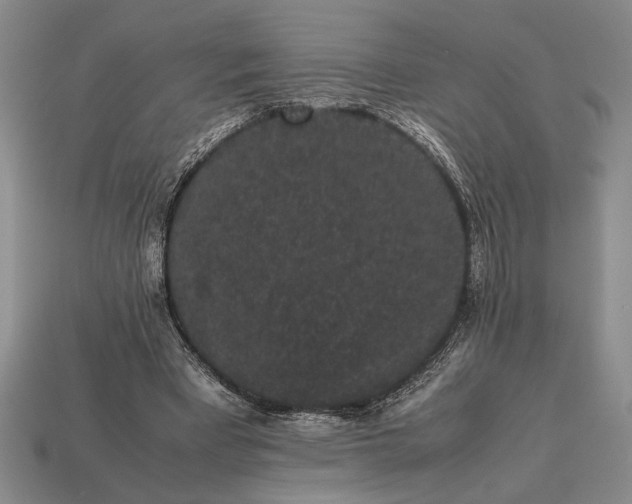 X0000113260393200909241527