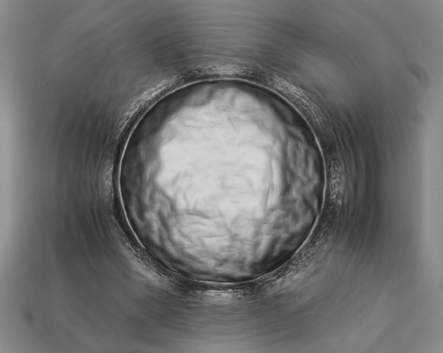 X0000113260394200909241527