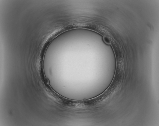 X0000113260395200909241527