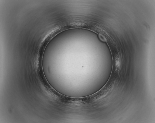 X0000113260396200909241527