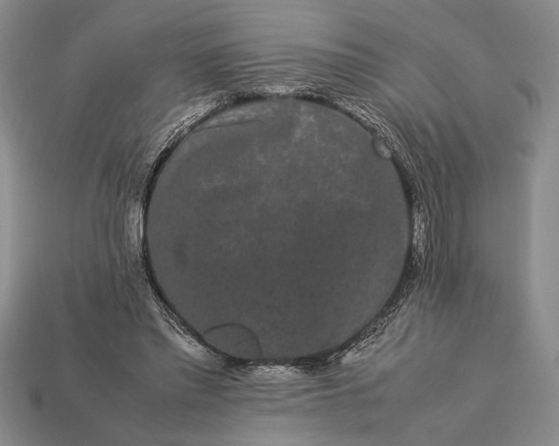 X0000113260397200909241527