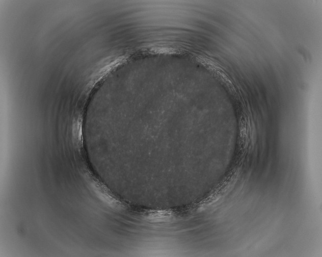 X0000113260398200909241526