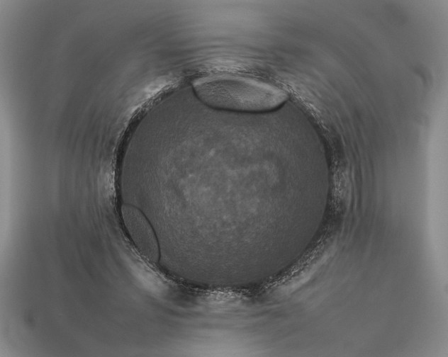 X0000113260399200909241526