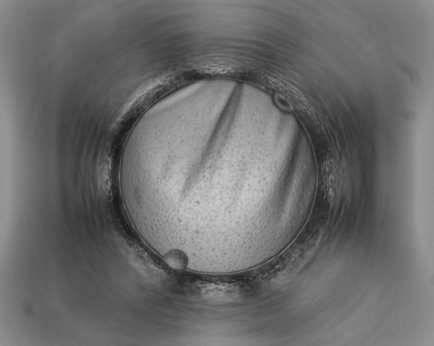 X0000113260400200909241526