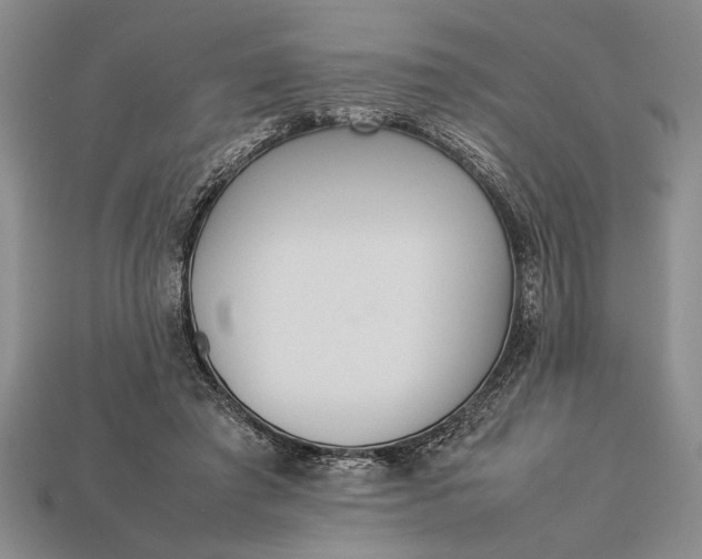 X0000113260401200909241526